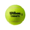 Wilson Triniti 4er Dose 1 Wilson Triniti 4er Dose -Tennisausrüstung 0162000000 10